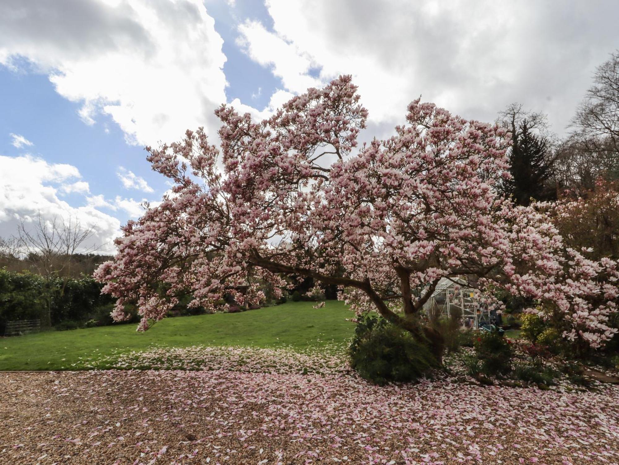 Beau Cottage Bewdley Εξωτερικό φωτογραφία